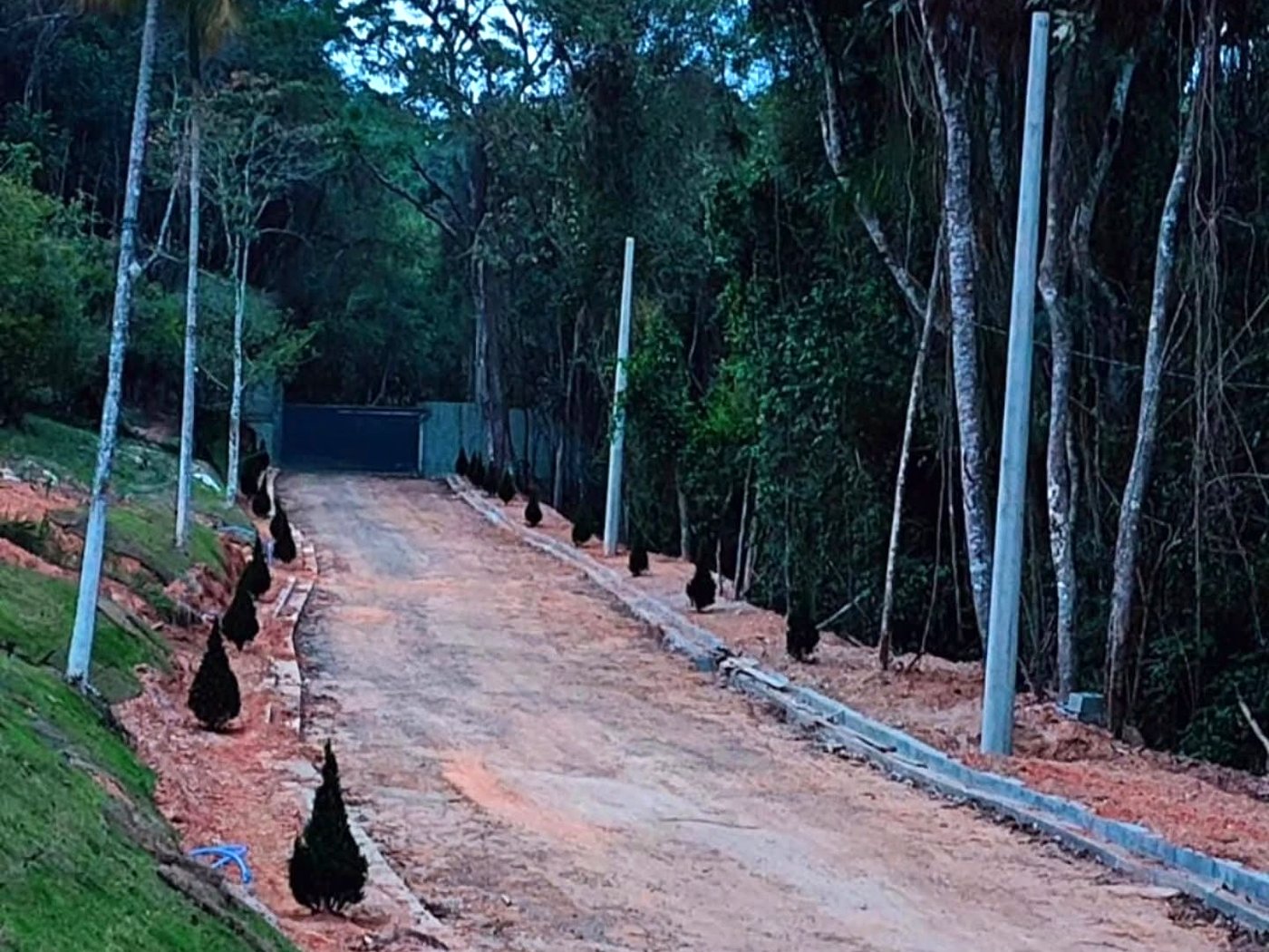 Via de acesso arborizada do condomínio de chalés em Taiaçupeba