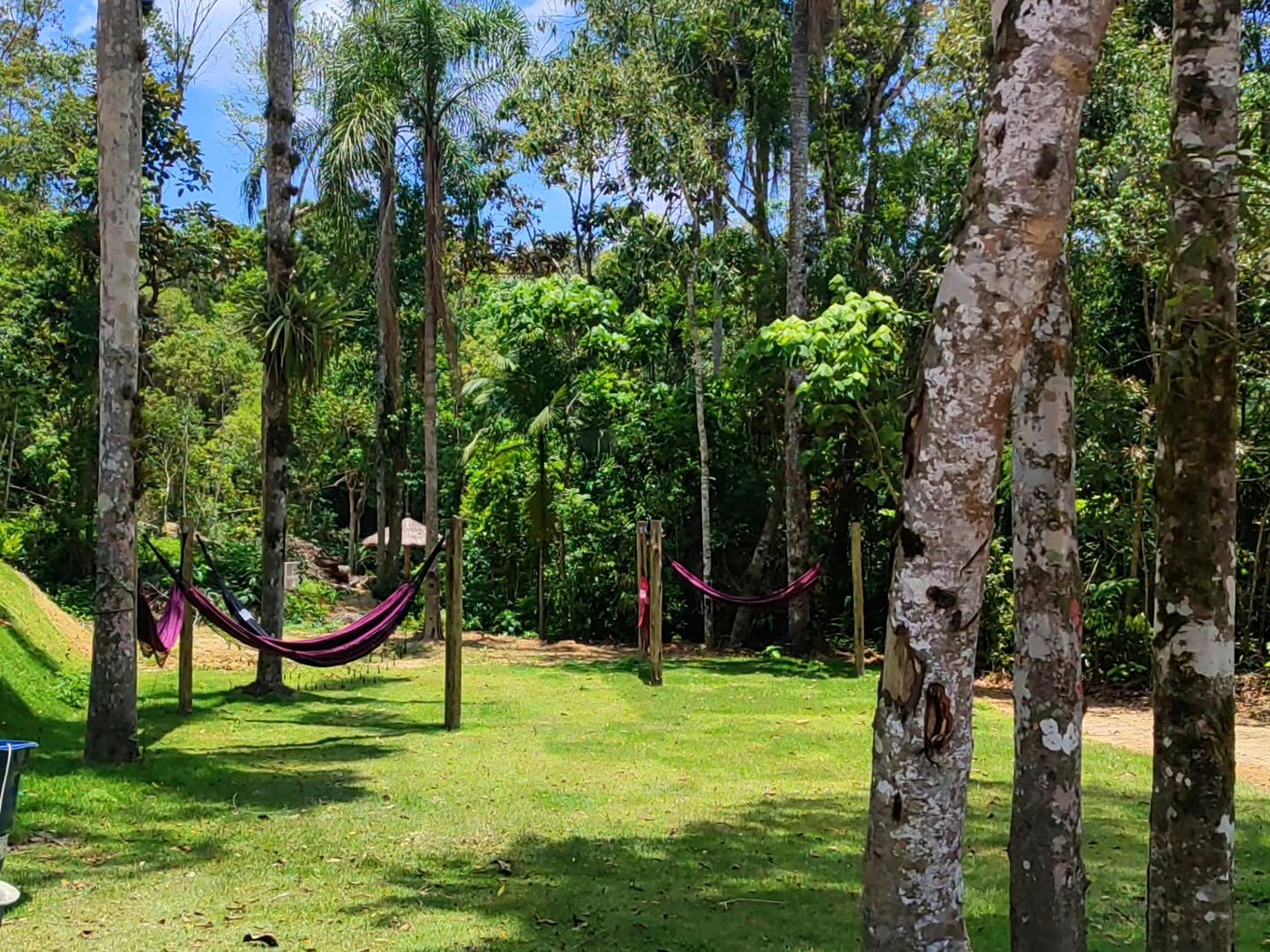 Área de redes entre árvores no condomínio do chalé em Mogi das Cruzes